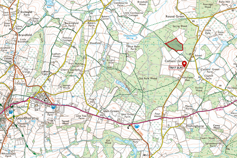 Corsican Wood, Colliers Green, Goudhurst, Kent | South East England ...