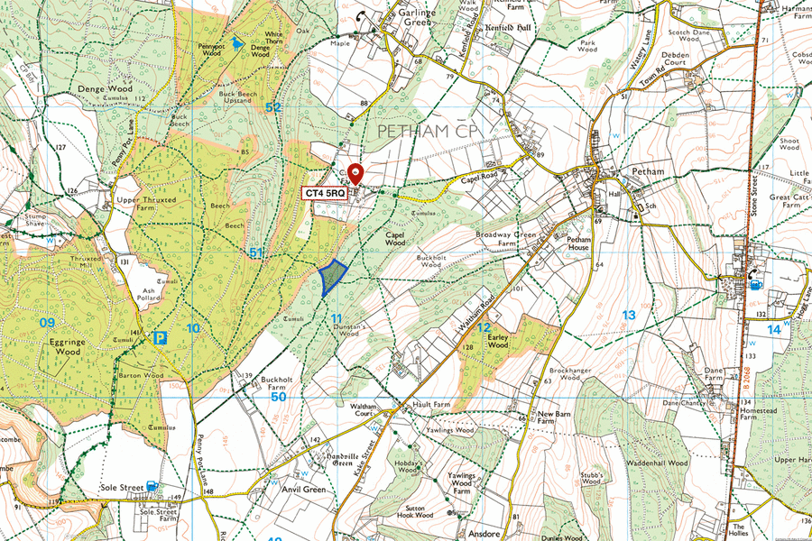 Chaff Wood, Petham, Canterbury, Kent | South East England | Forests.co.uk